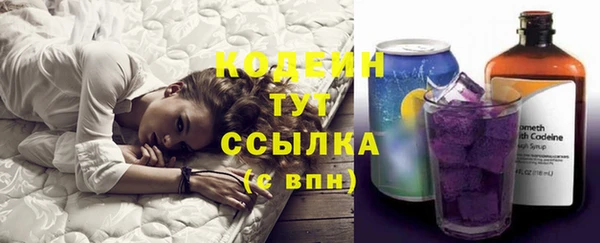 молекула духа Майский