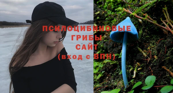 молекула духа Майский