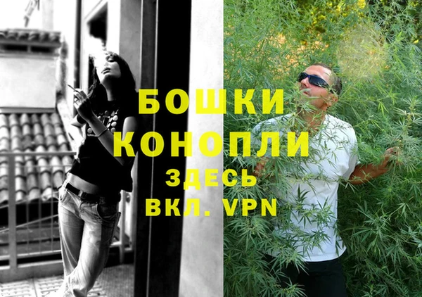 молекула духа Майский