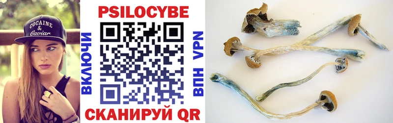 где продают наркотики  Волжск  Псилоцибиновые грибы Psilocybine cubensis 