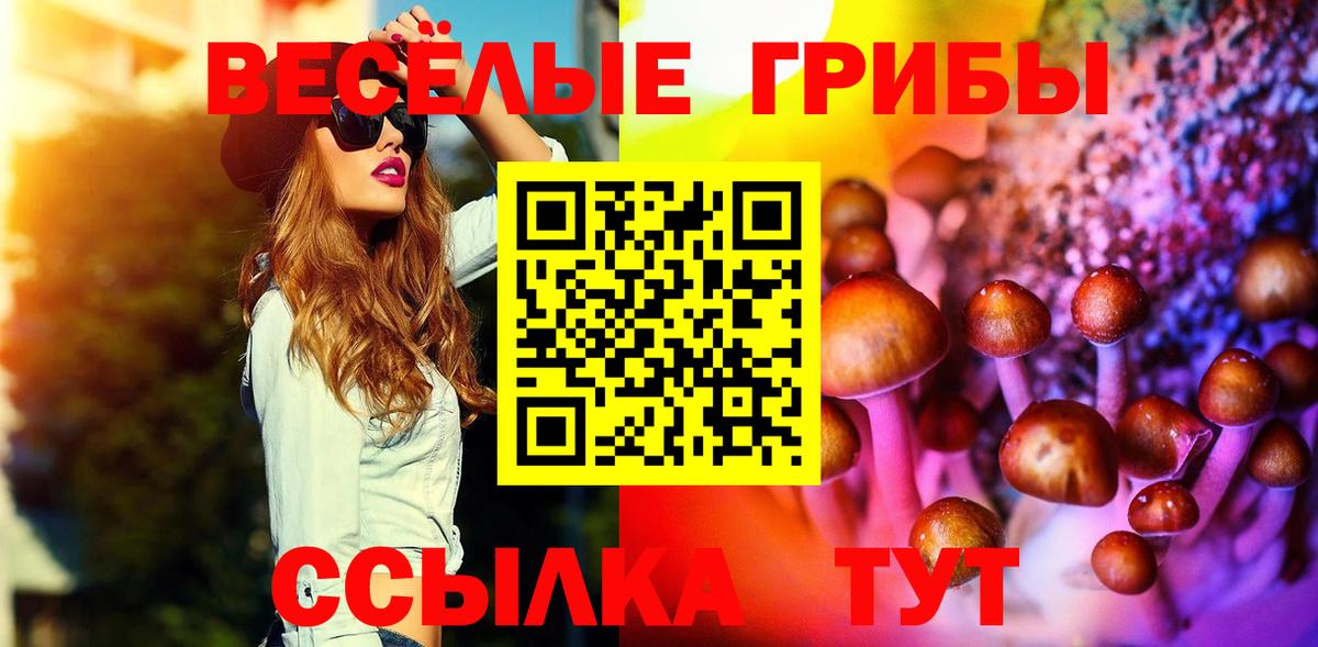 Псилоцибиновые грибы ЛСД Волжск
